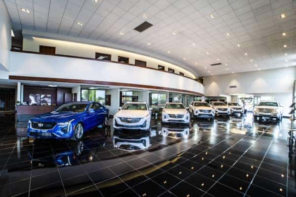 Five Star Care Images - Experience Image - The new Cadillac lineup displayed in the dealership