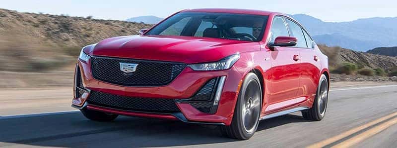 cadillac on the road gallery 1