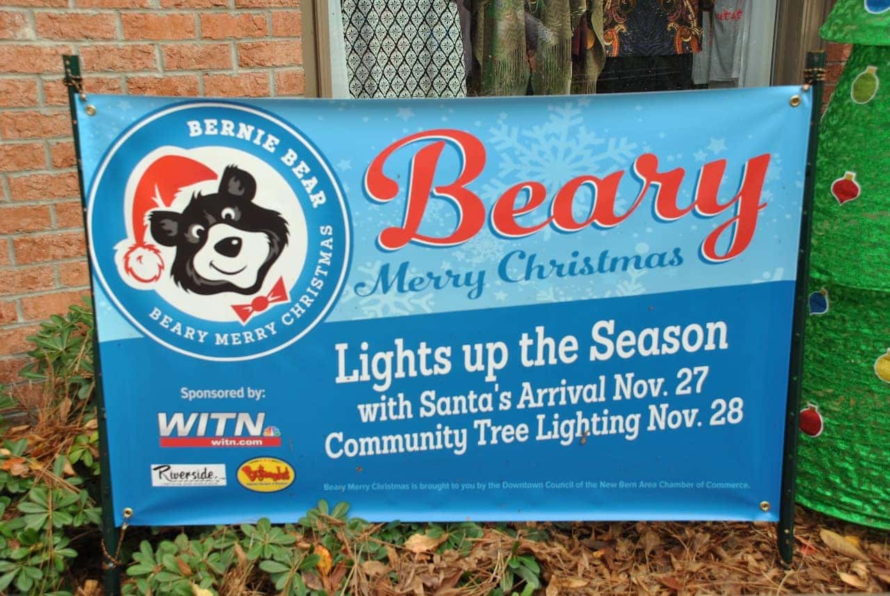 Beary Merry Christmas