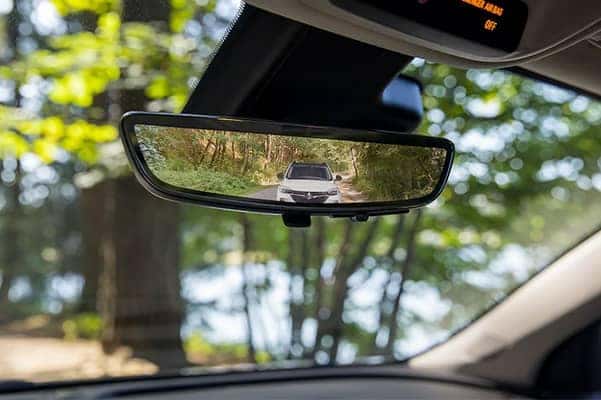 rear view mirror