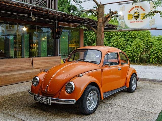 a-look-at-the-vw-beetles-past-present-and-future-el-paso-1.png