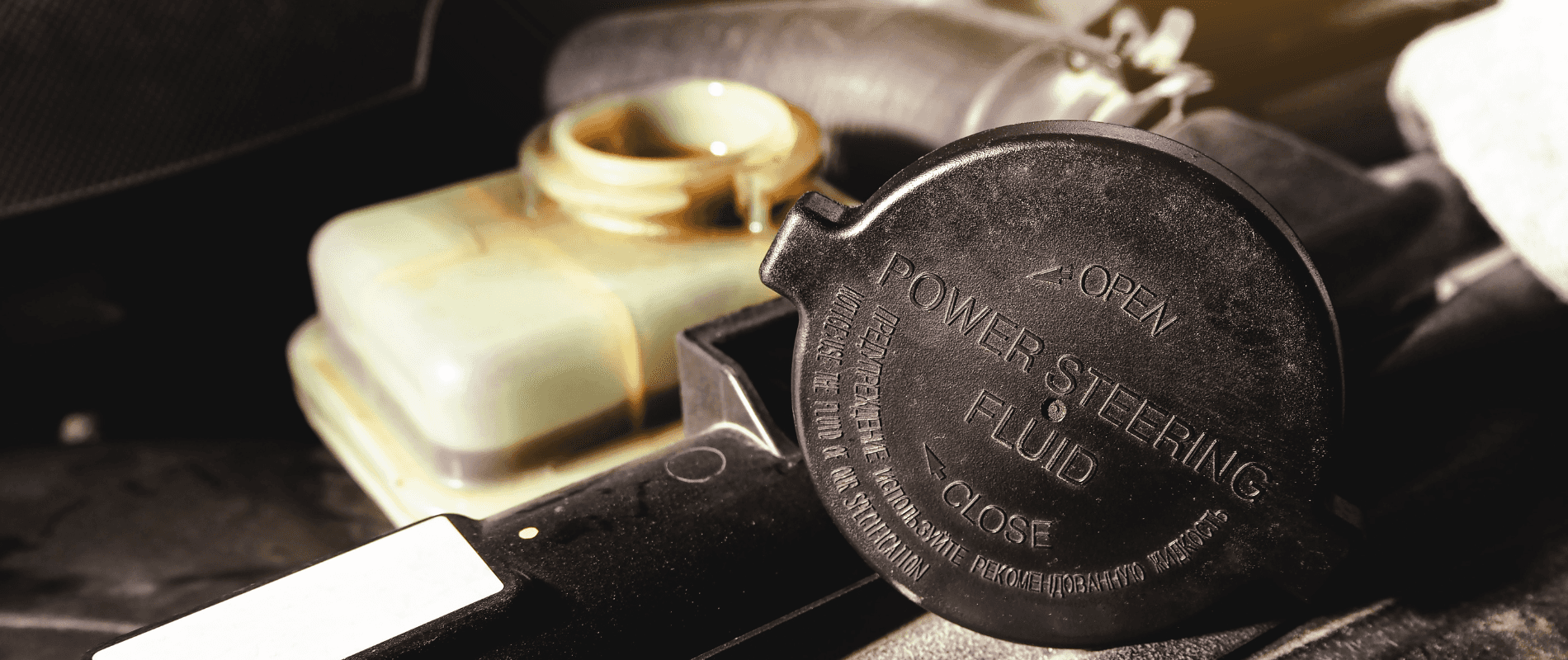 Power Steering Fluid Exchange