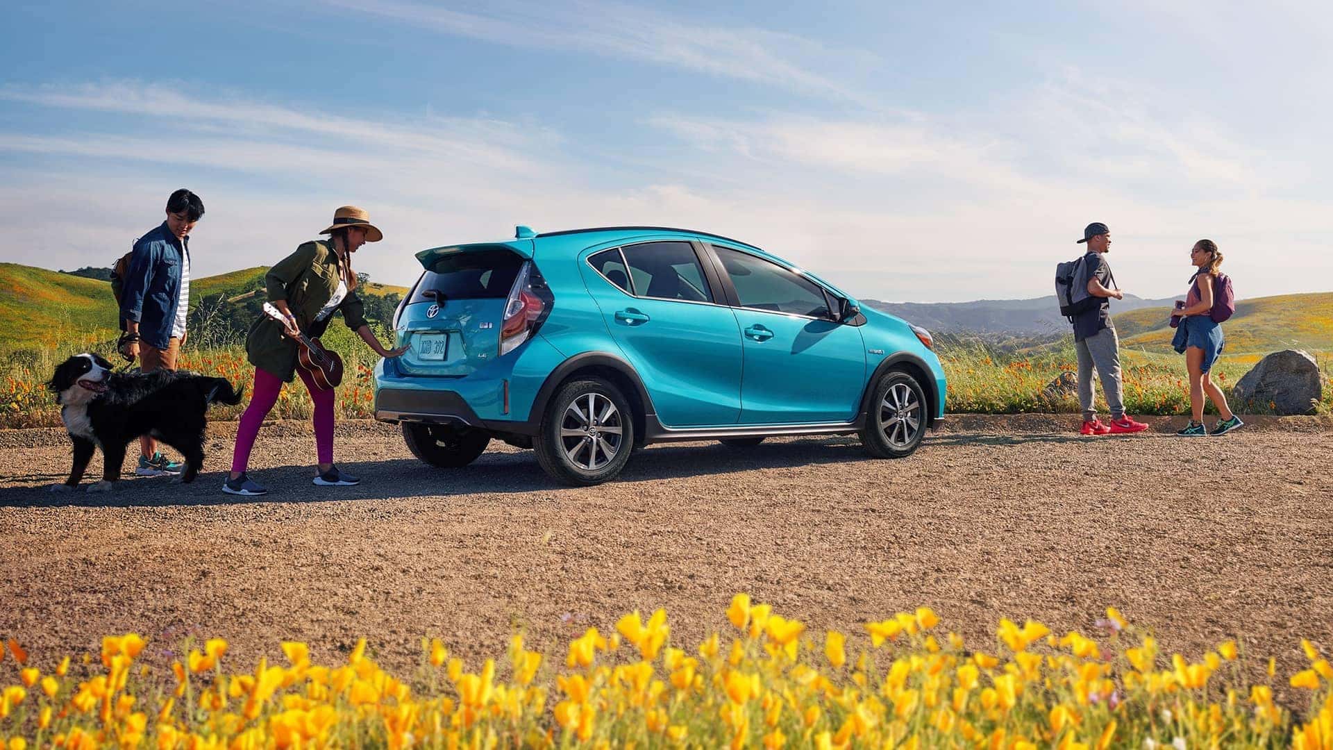 2018 Toyota RAV4 Adventure AWD and Platinum AWD