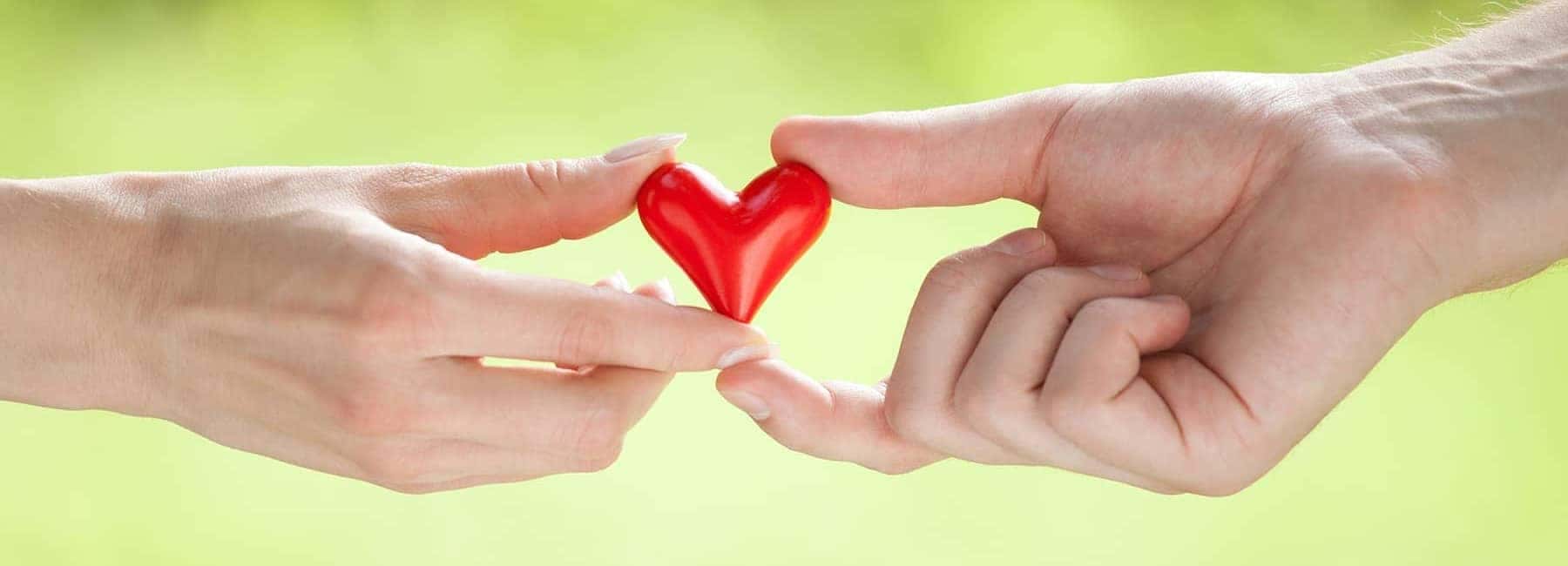 Two Hands Holding a Heart together
