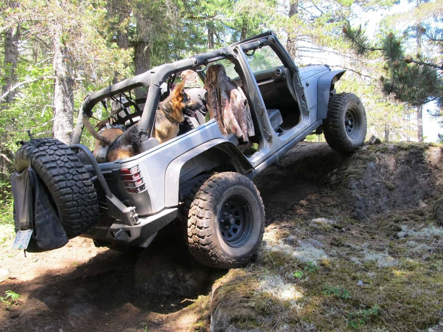 jeep dog net