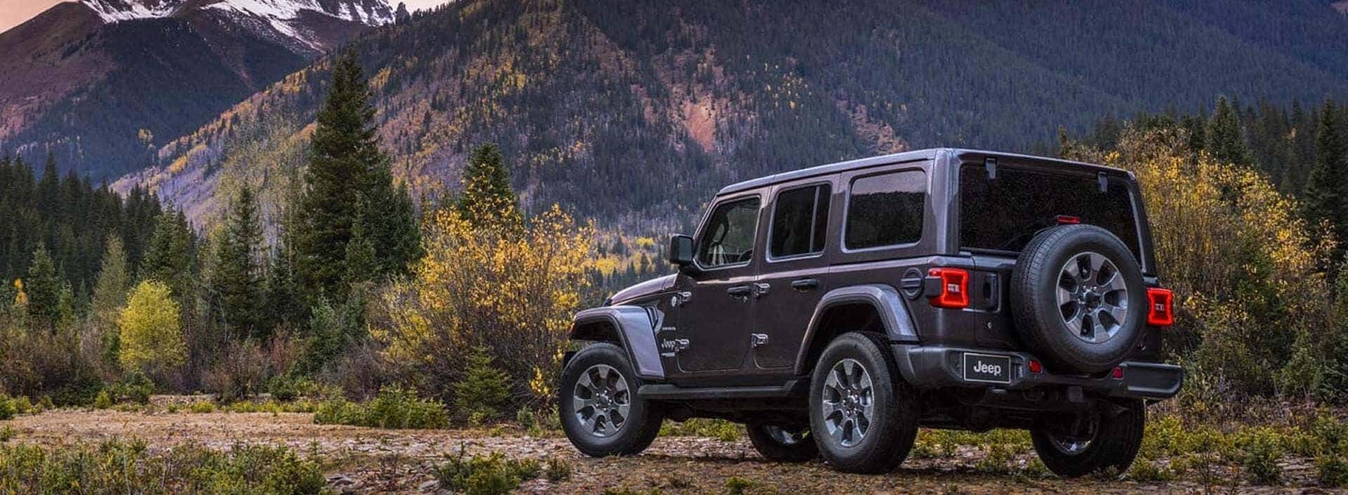 Jeep Wrangler parked in the forest