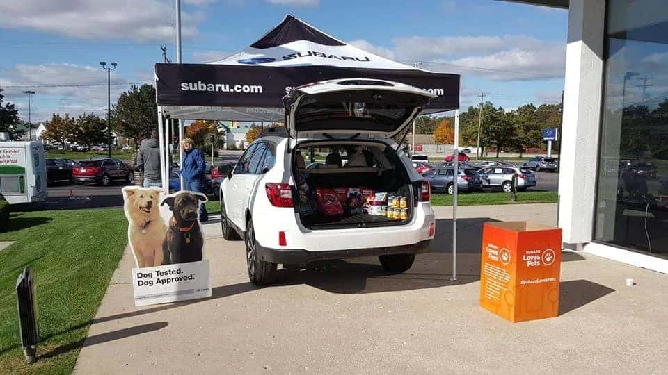 Subaru with hatchback open showcasing the adopt a pet program