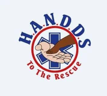 H.A.N.D.D.S. organization logo