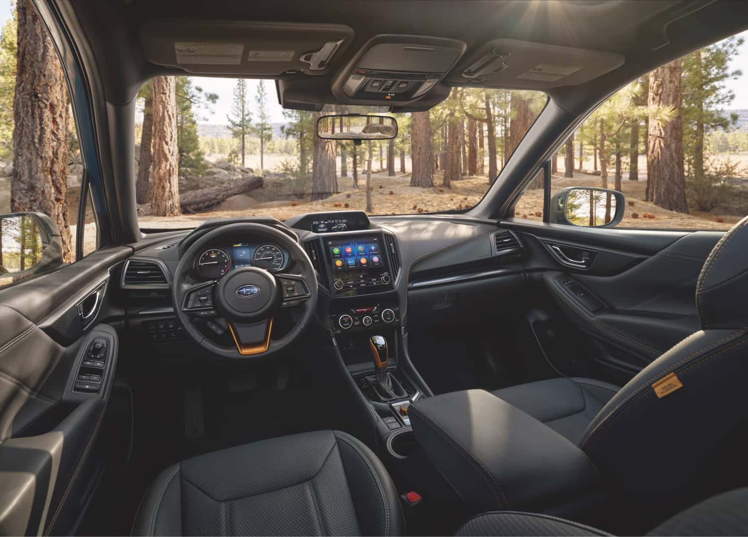 Subaru Mobility Assist