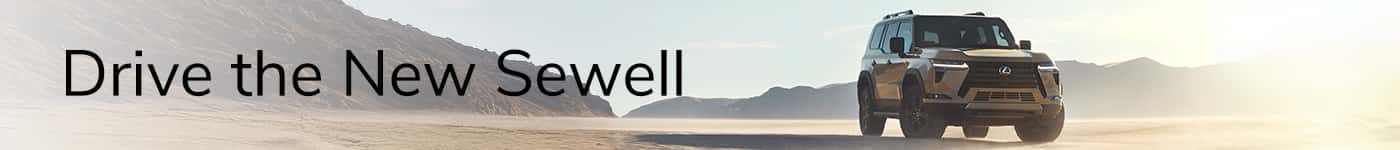 LEX-GX-2---VSR-Banner---1400x150