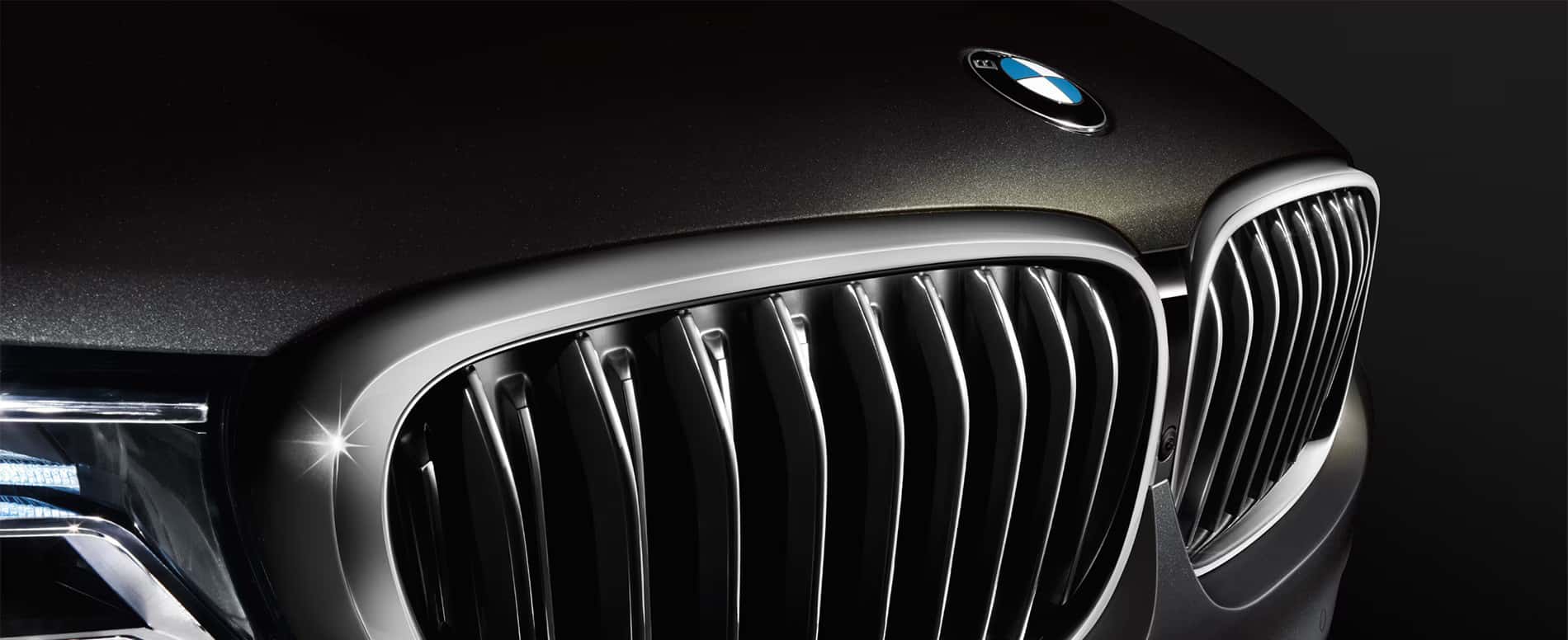 BMW Grill
