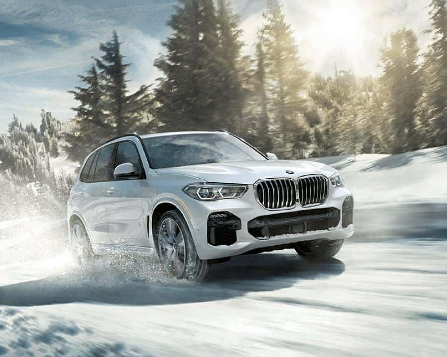 2019 BMW X5 Snow