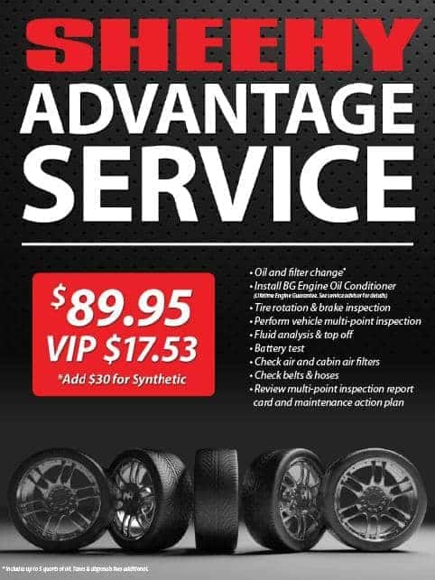 sheehy advanced service2