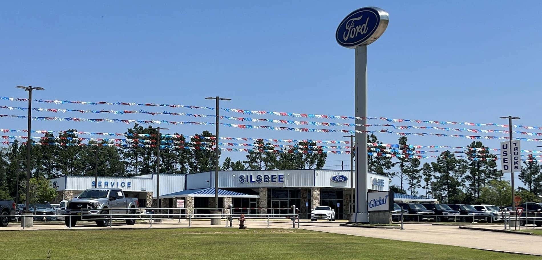 Close-up of Ford logo