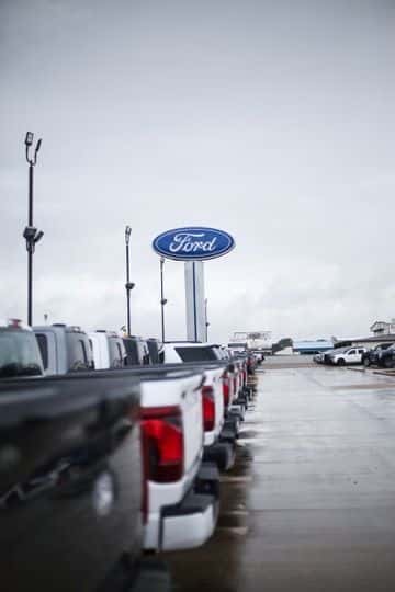 row of Ford trucks in car lot