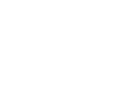BDS Suspension logo white
