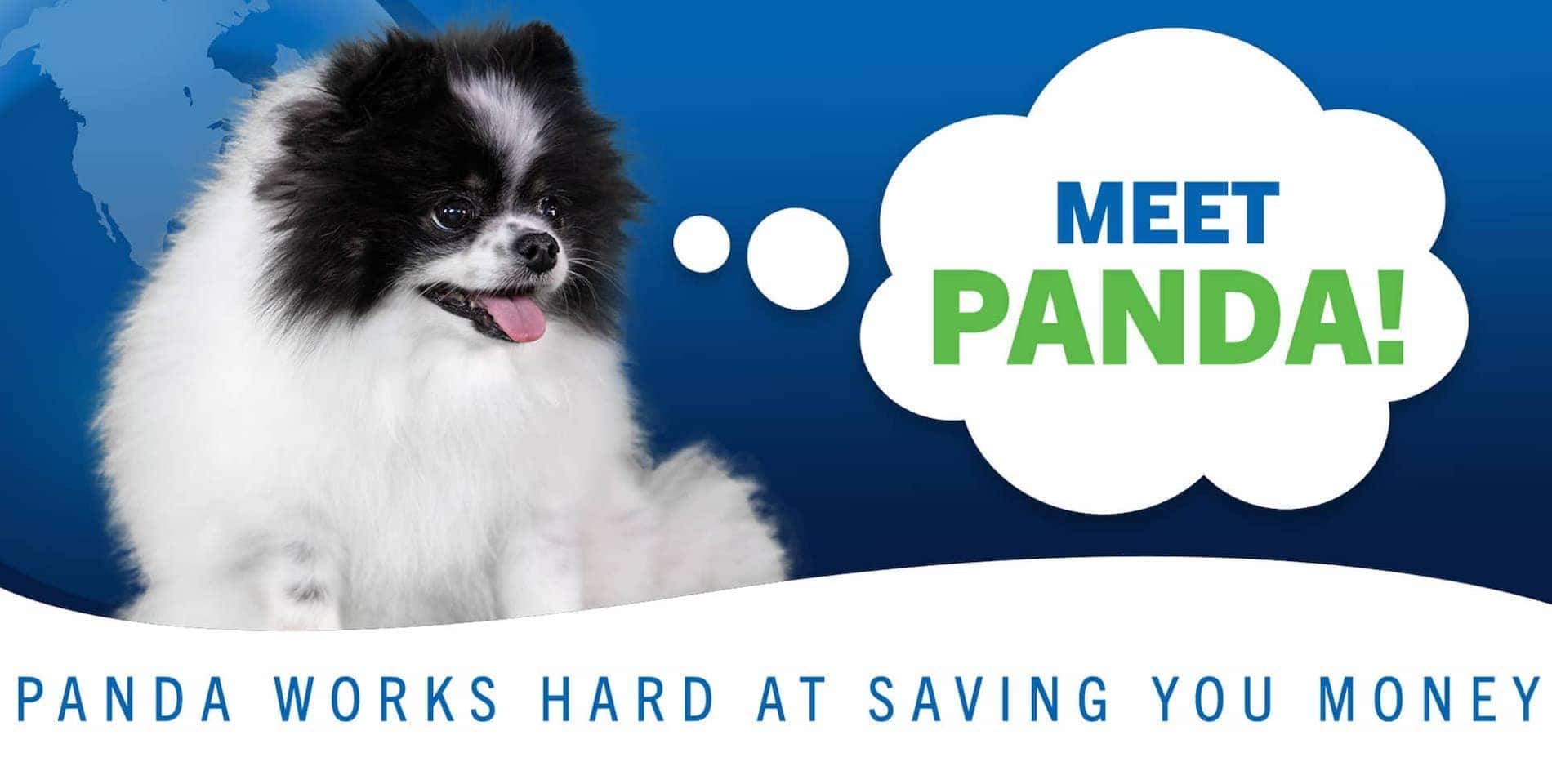 Meet Panda - Spitzer Ford Hartville