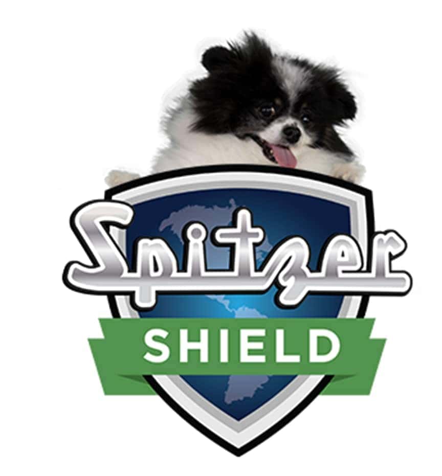 Meet Panda - Spitzer Ford Hartville