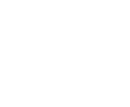 Steering Wheel Icon