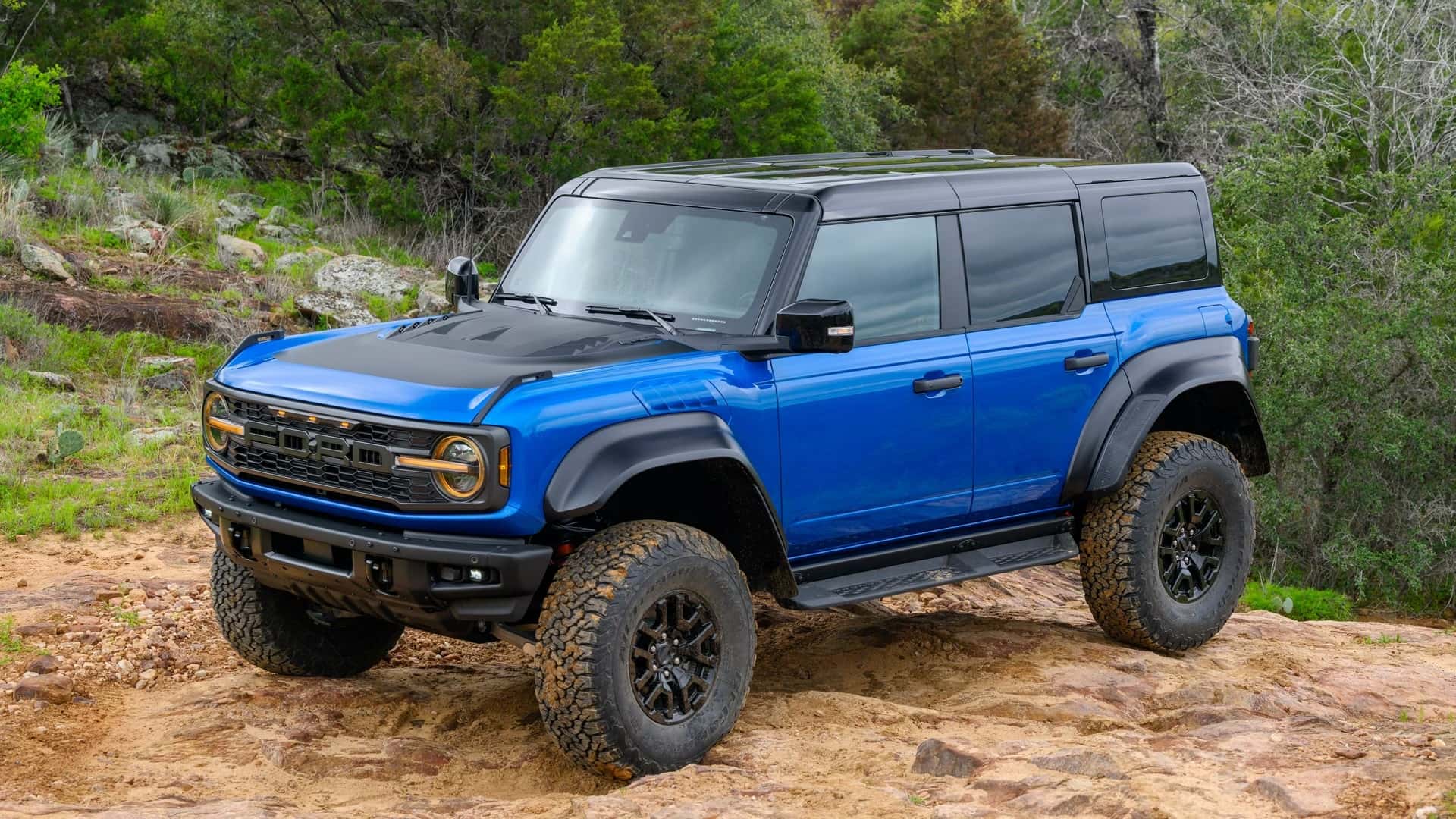 Raptor® Black Appearance Package