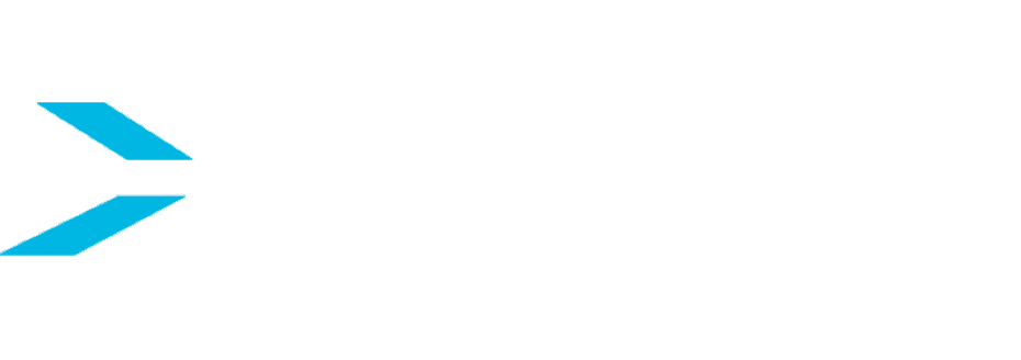 Subaru Express Service logo