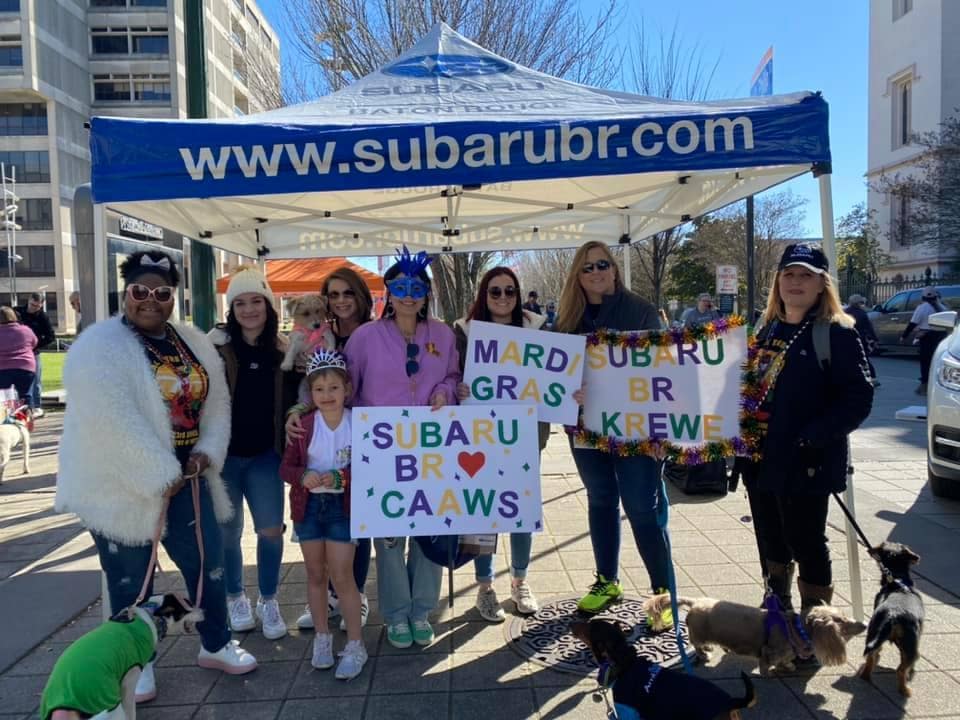 CAAWS Krewe of Mutts Parade 2022