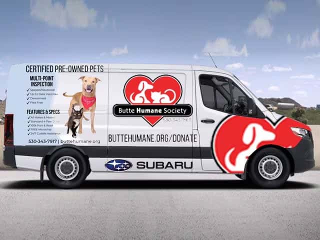 Butte-Humane-Society-3