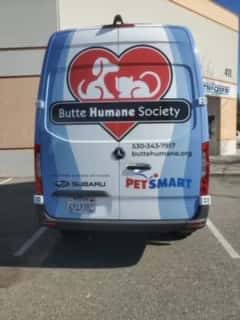 Butte-Humane-Society-4