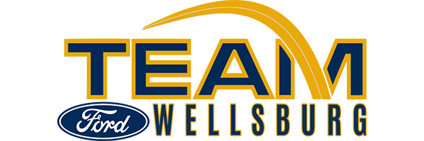 Team Ford Wellsburg dealership logo