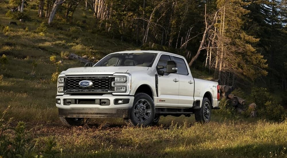 A white 2024 Ford F-350 Super Duty is shown parked in grass after leaving a trail in the woods.
