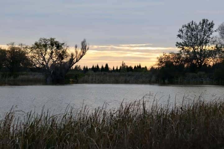 Rasmussen park in cameron park