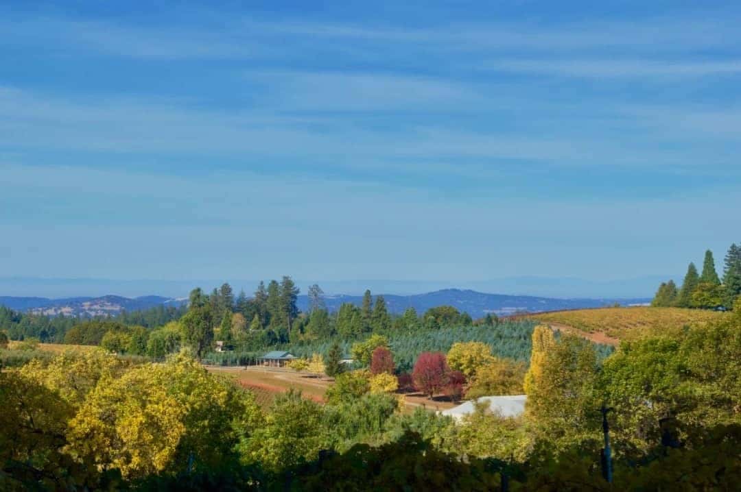 apple_hill_california