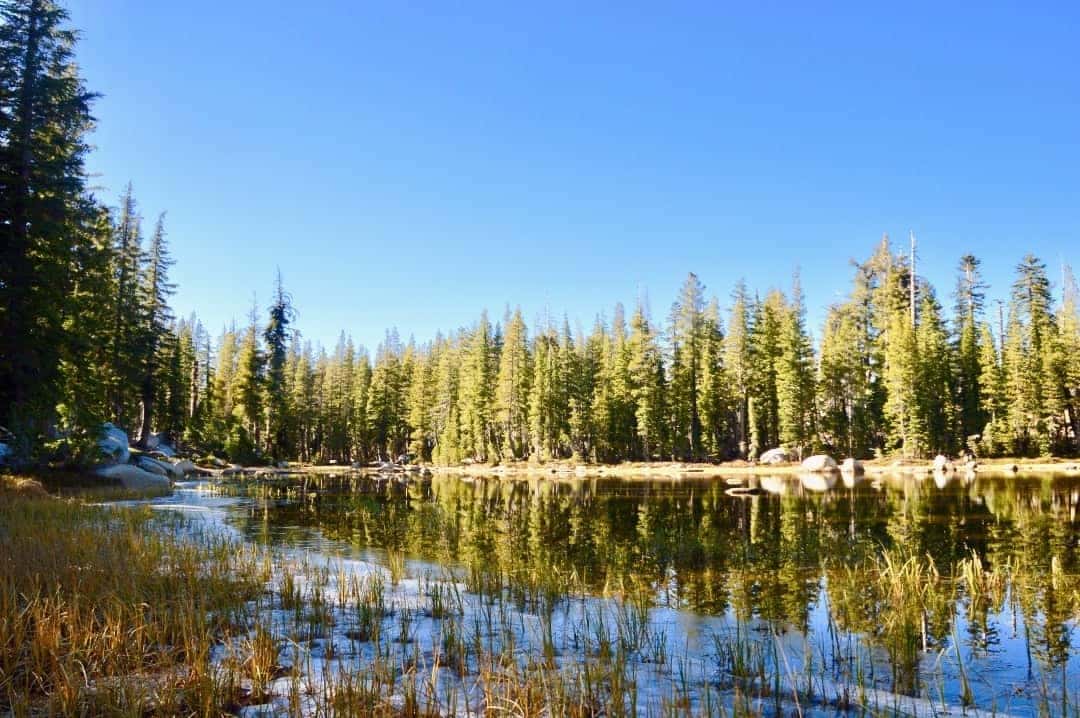 el_dorado_national_forest_tahoe