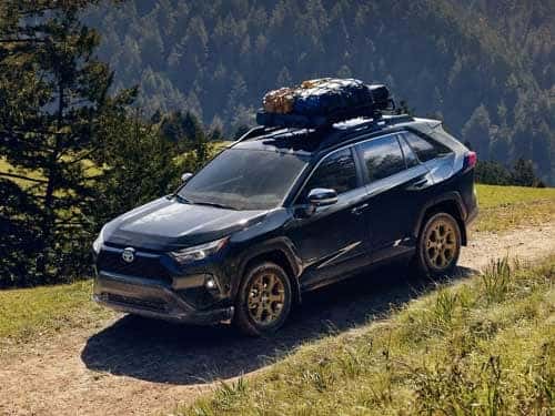 2024 Toyota RAV4 Hybrid exterior