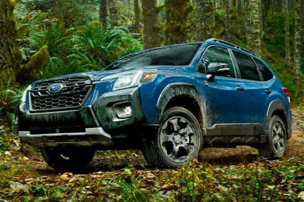 Subaru in forest