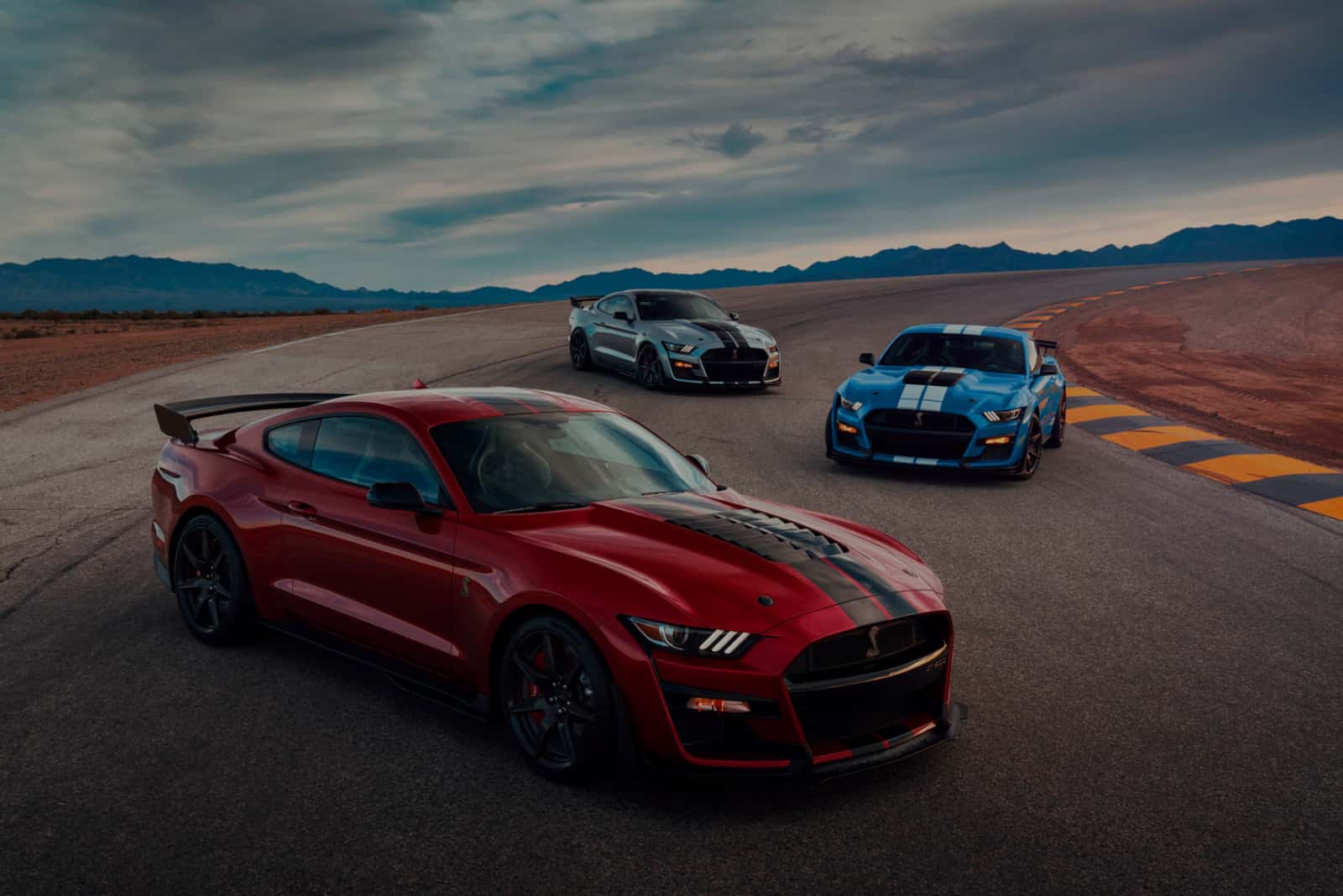 ford-shelby