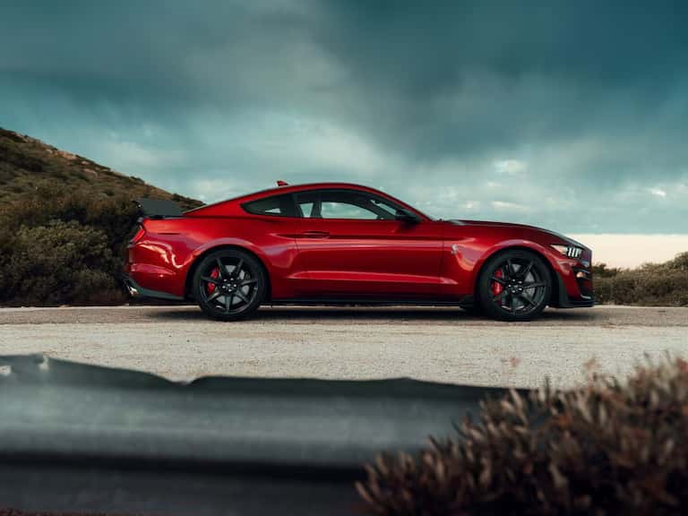 shelby-sideview