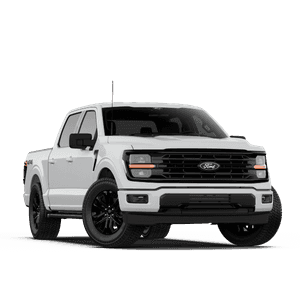 Fleet One rental and leasing vehicle example