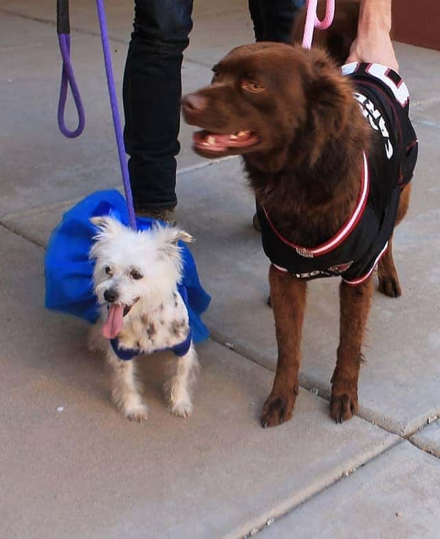 Chloe and Sadie