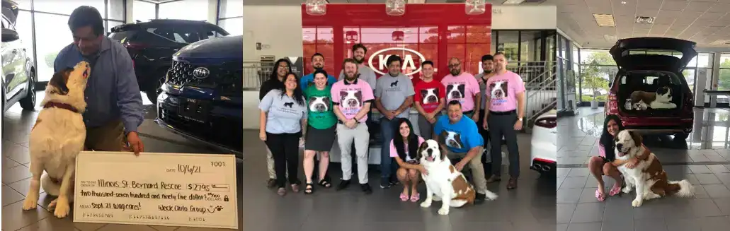 1-Illinois-Saint-Bernard-Rescue
