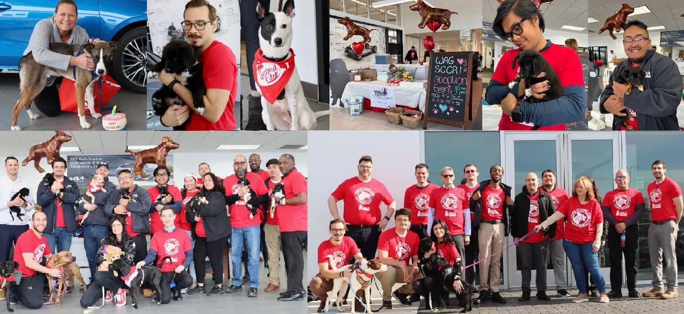 1-Second-City-Canine-Rescue