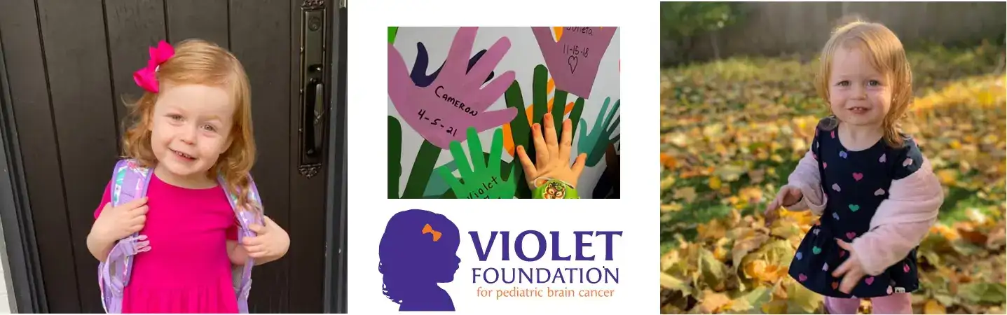 1-The-Violet-Foundation