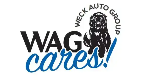 1-wagcares-vw
