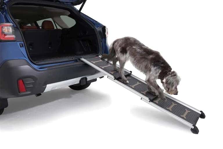 Pet Ramp