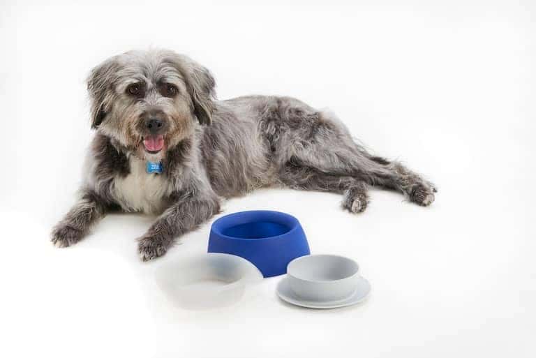 Pet Travel Bowl