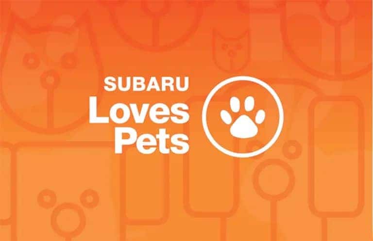Subaru Loves Pets