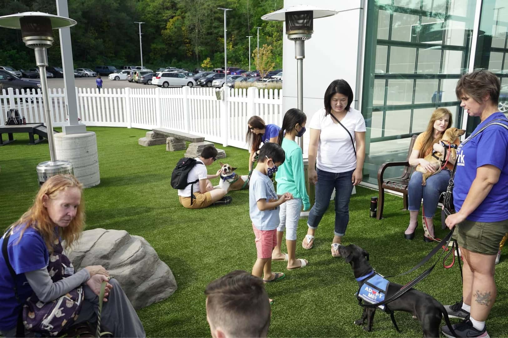 Dog Park Gallery 05