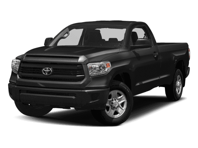 tundra