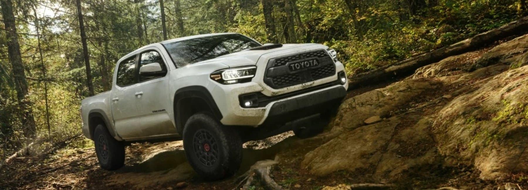 2022tacoma-angled-front-3qview-parked-in-forest-mushrooms-rocks-mudspattered-white