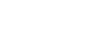 Wholesale Auto Group logo